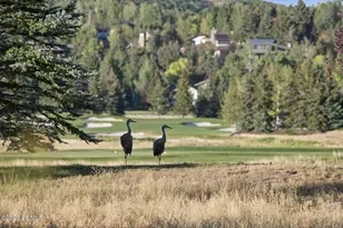 125 Yonex Ct, Park City, UT 84060 - Photo 6