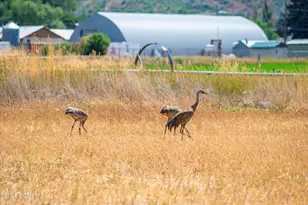 364 W 3000 S, Daniel, UT 84032 - Photo 48