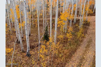 5156 N Pebble Drive, Midway, UT 84049 - Photo 24