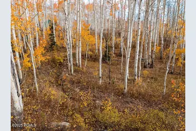 5156 N Pebble Drive, Midway, UT 84049 - Photo 16