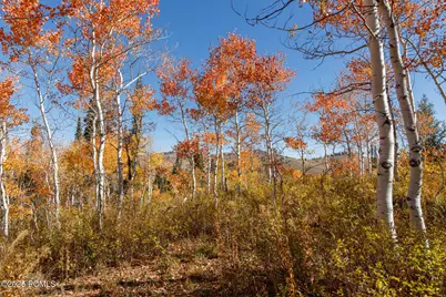 10964 N Chukar Point Drive, Huntsville, UT 84317 - Photo 60