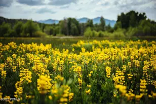 7507 E Stardust Ct, Heber City, UT 84032 - Photo 40