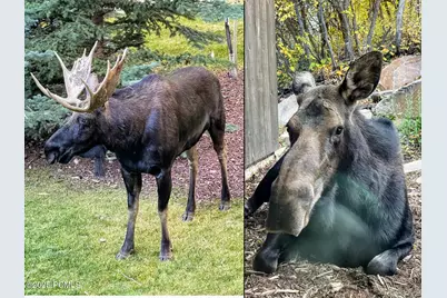 3495 Sun Ridge Drive, Park City, UT 84060 - Photo 42