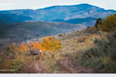 7461 E Stardust Court #312c 3.19, Heber City, UT 84032 - Photo 48