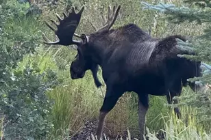 3465 W Cedar Dr, Park City, UT 84098 - Photo 38