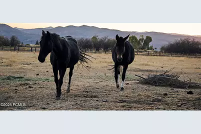 470 E Boulderville Road, Oakley, UT 84055 - Photo 42
