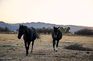 470 E Boulderville Rd, Oakley, UT 84055 - Photo 42