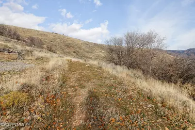 12834 E High Pine Circle, Huntsville, UT 84317 - Photo 30