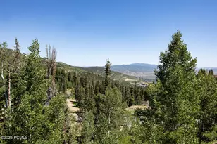 26 White Pne Cyn Rd, Park City, UT 84060 - Photo 62