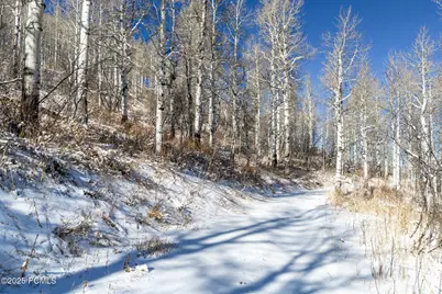 11708 Canyon Rim Road, Oakley, UT 84055 - Photo 36