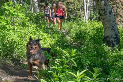 8251 Meadowview Court #J24, Park City, UT 84098 - Photo 54