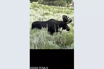 1546 Clyde Lake Drive, Heber City, UT 84032 - Photo 10