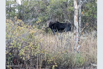 156 Mountain View, Oakley, UT 84055 - Photo 34