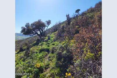 156 Mountain View, Oakley, UT 84055 - Photo 22