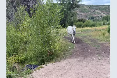 S Bench Creek Road, Woodland Hills, UT 84036 - Photo 20
