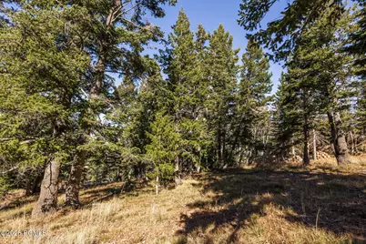 7585 Sterling Drive, Park City, UT 84060 - Photo 14