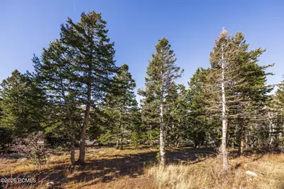 7585 Sterling Drive, Park City, UT 84060 - Photo 10