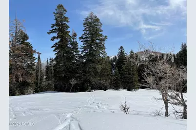 2271 Deer Loop, Coalville, UT 84017 - Photo 1