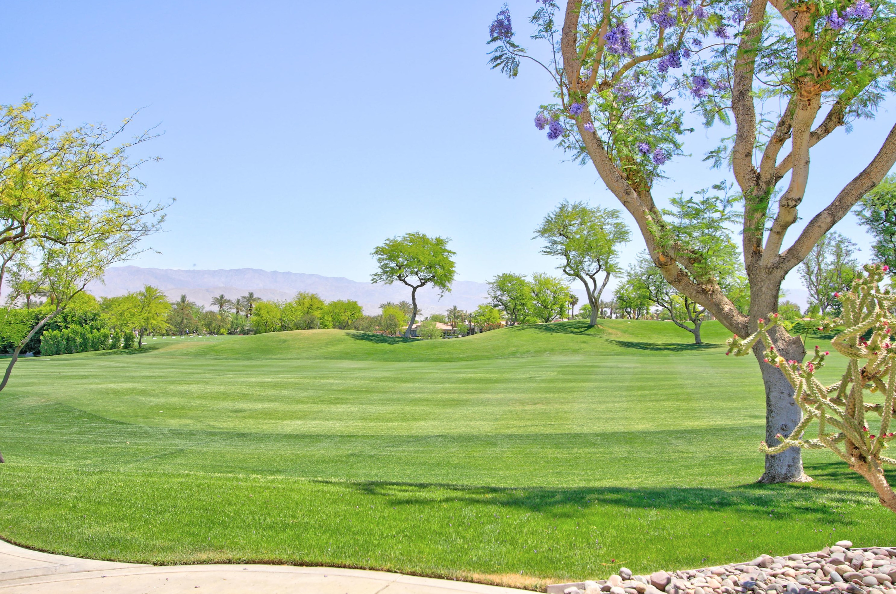 356 Tomahawk Dr, Palm Desert, CA 92211-8951