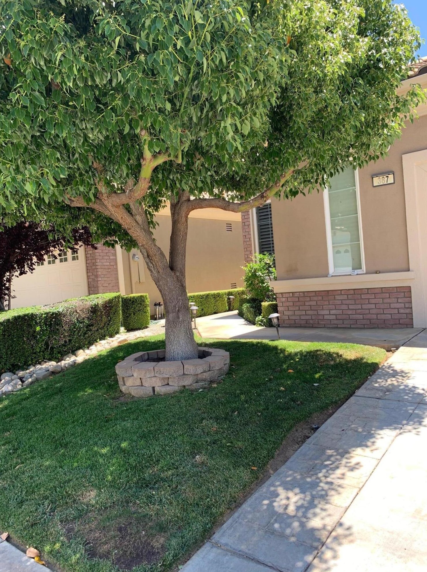 387 Brooklawn Dr, Banning, CA 92220-5266