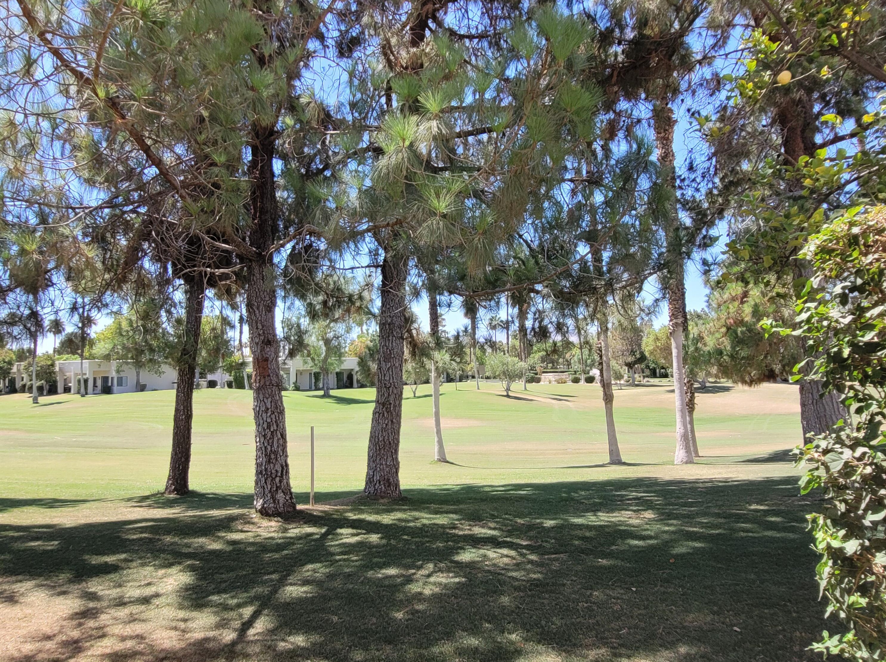 67499 Toltec Ct, Cathedral City CA  92234-3554 exterior