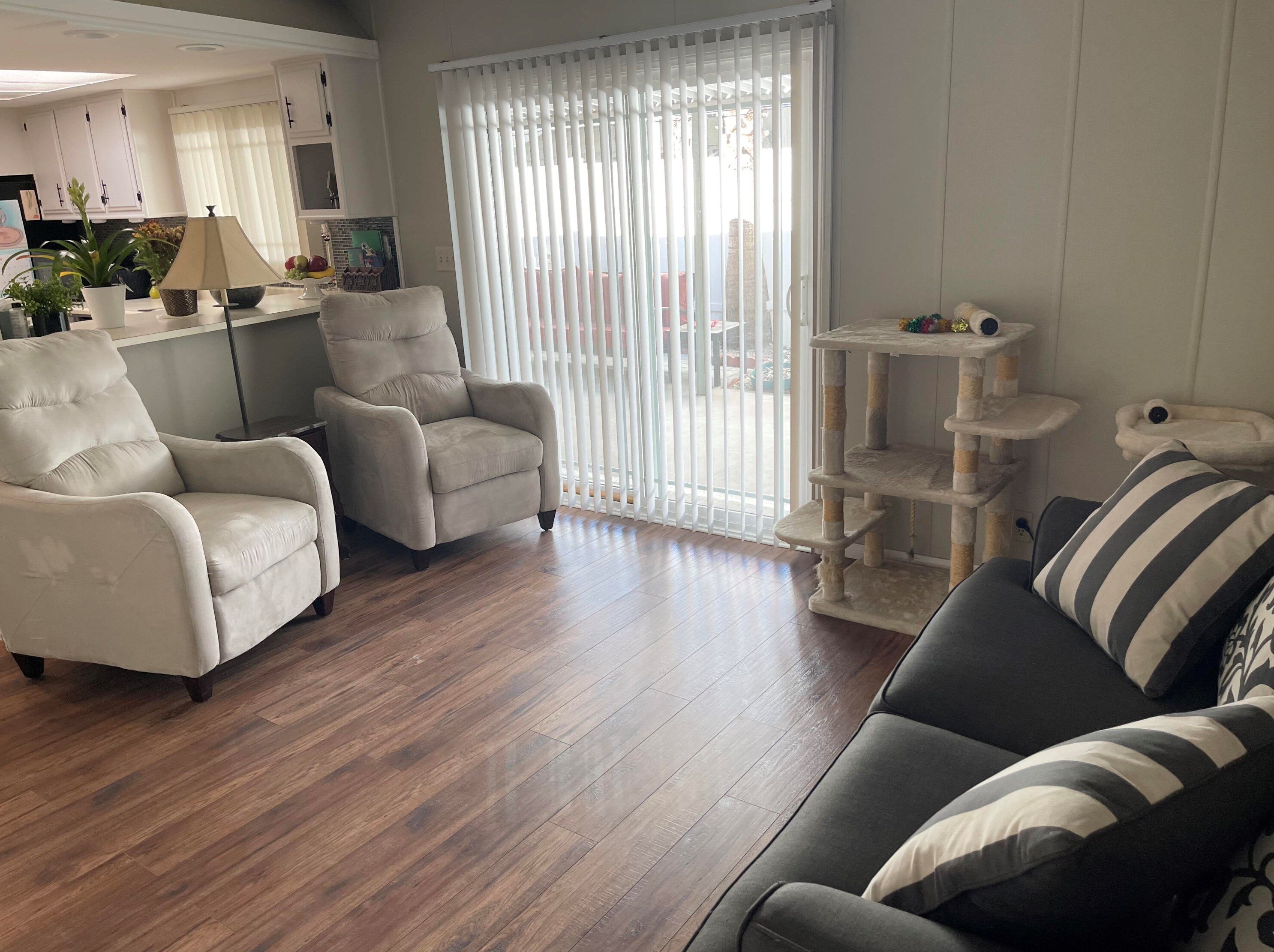 146 Estrada Way, Cathedral City CA  92234-1508 exterior