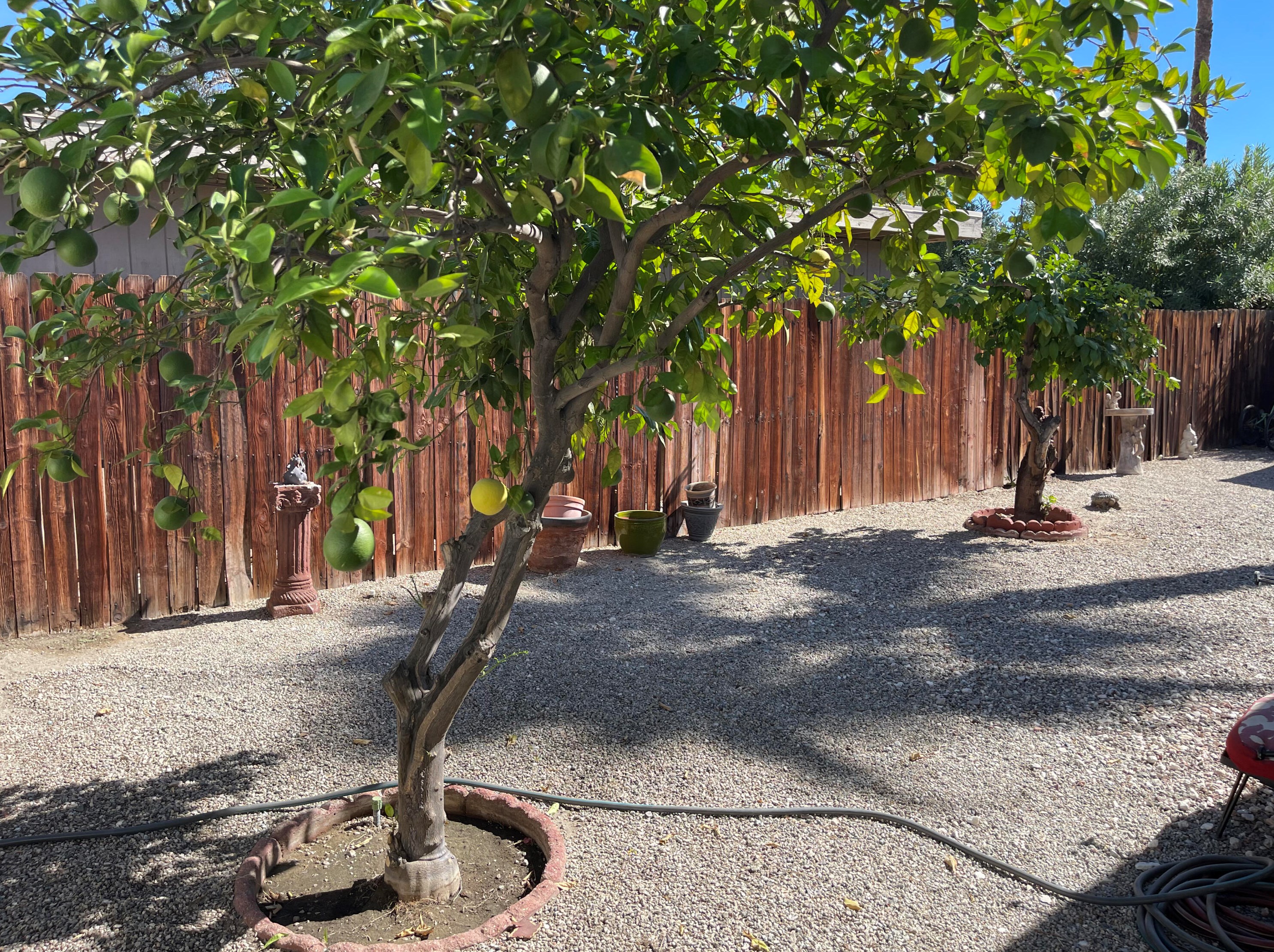 146 Estrada Way, Cathedral City CA  92234-1508 exterior