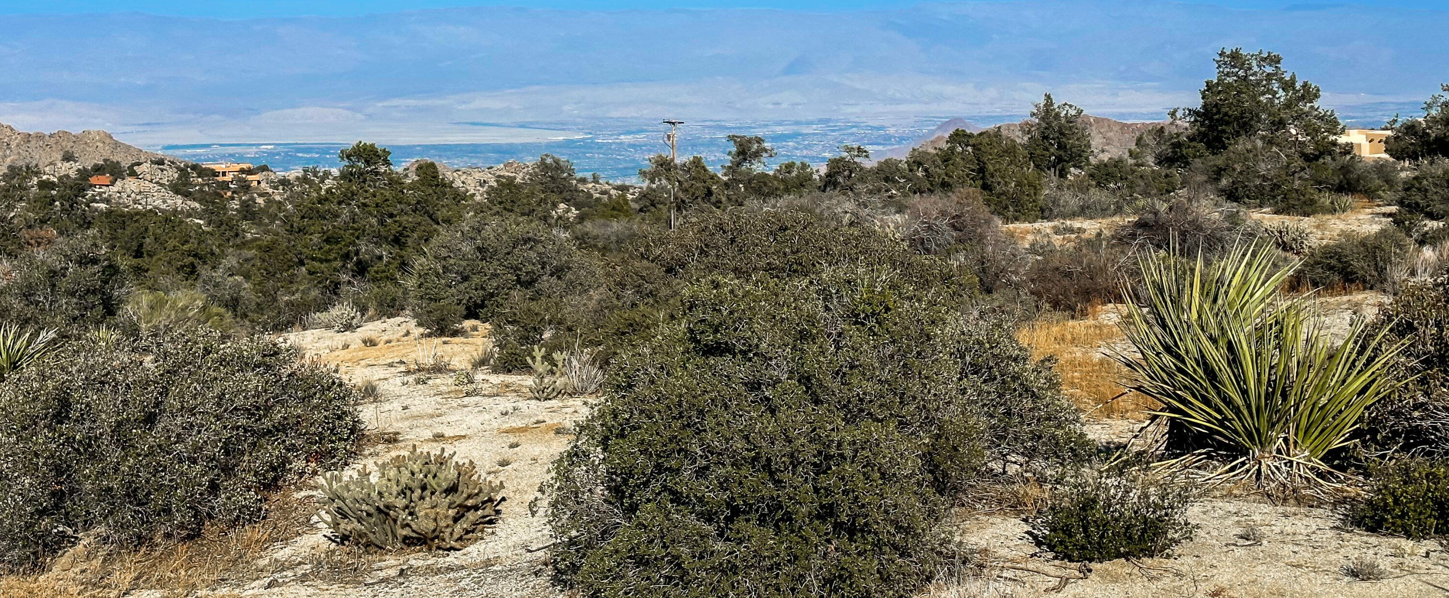 70050 San Jacinto Rd, Pinyon Pines, CA 92561