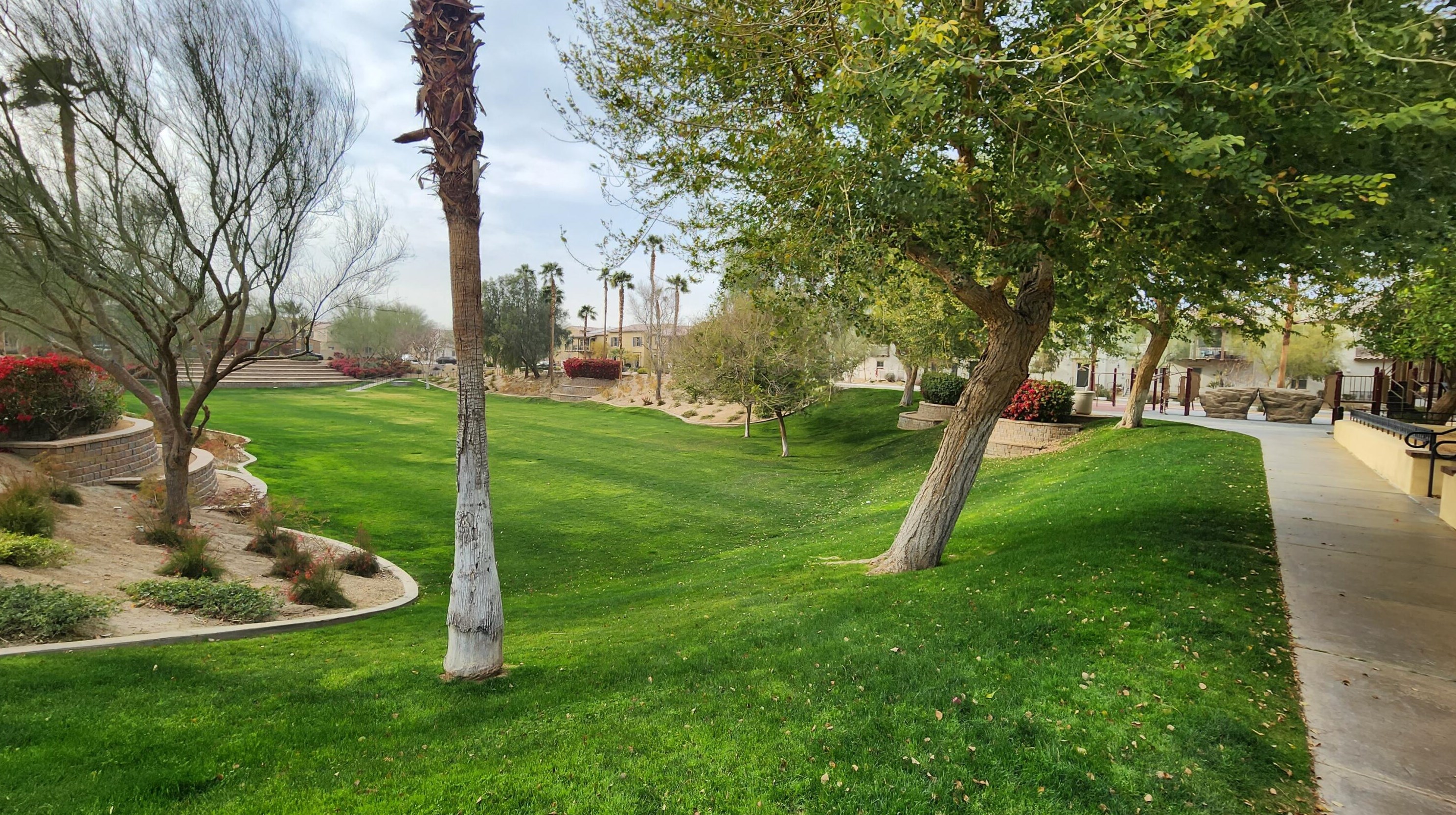 213 Paseo Gregario, Palm Desert CA  92211-5707 exterior