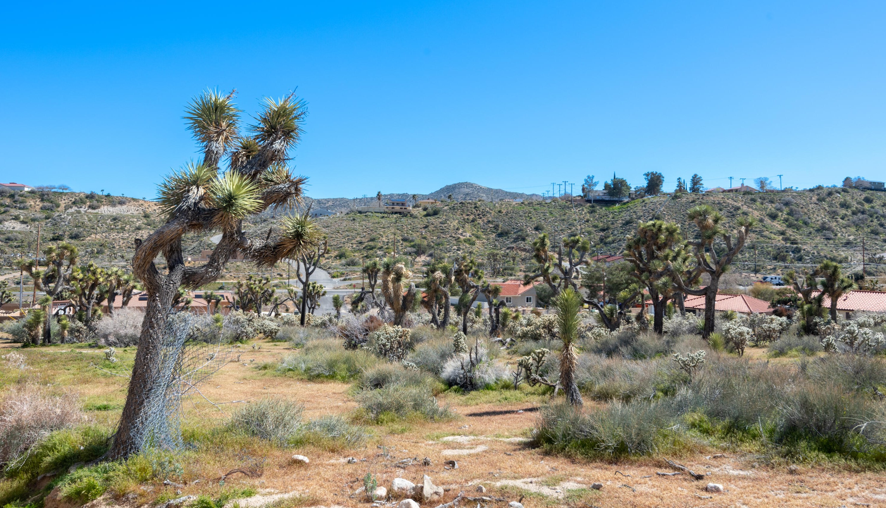 7588 San Remo Trl, Yucca Valley CA  92284-2354 exterior