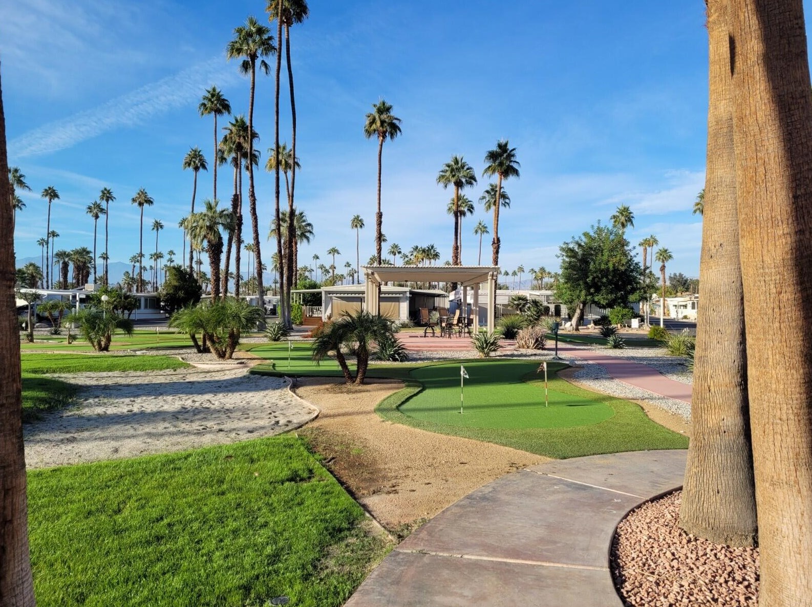 141 Coyote, Cathedral City CA  92234-1003 exterior