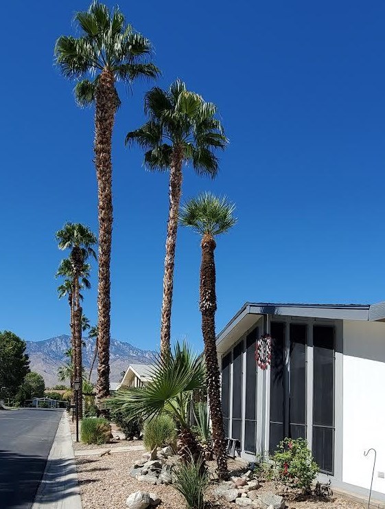203 Savage Dr, Cathedral City, CA 92234-6620