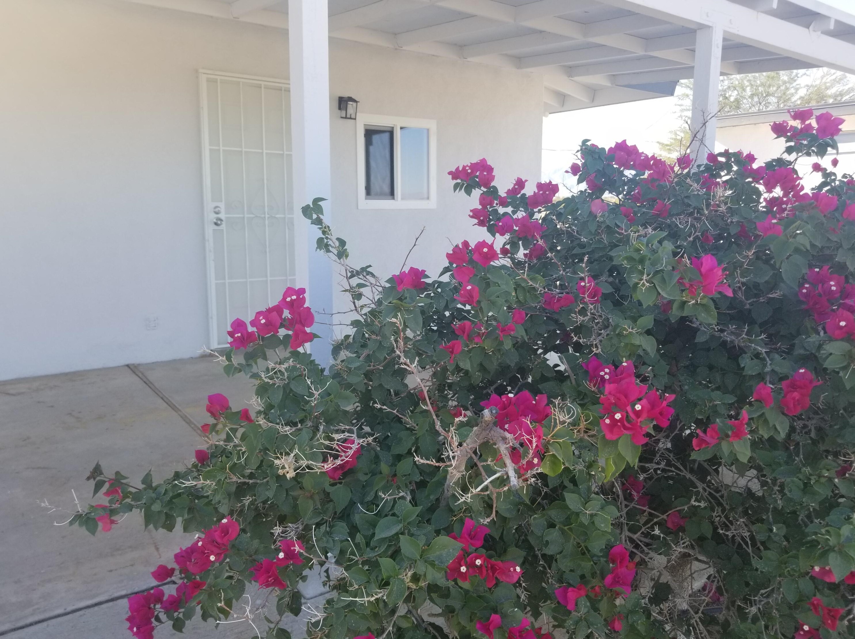 1048 Sea Raider Ave, Thermal, CA 92274