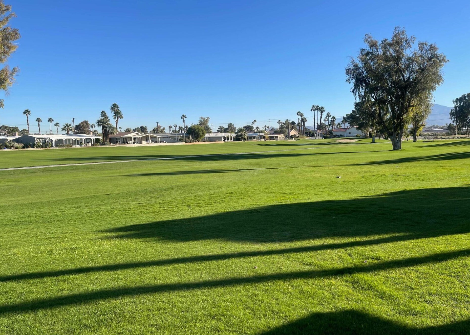 33450 Laura Dr, Thousand Palms, CA 92276-4037