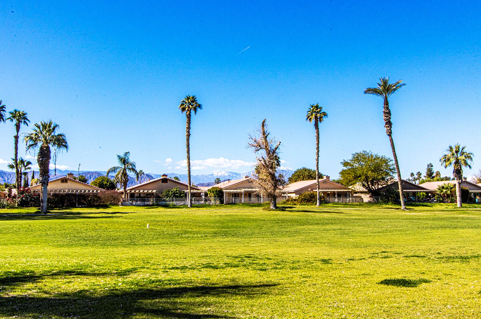 49489 Douglas St, Indio CA  92201-7538 exterior