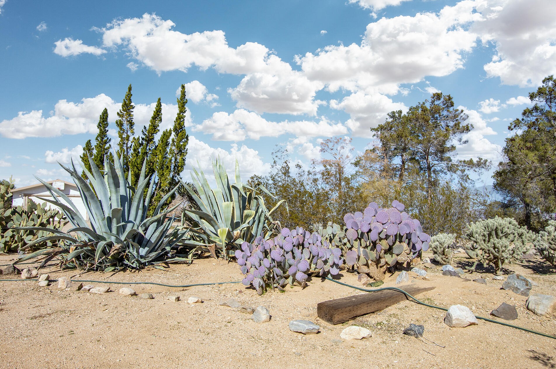 1959 Yetters Ln, Yucca Valley CA  exterior