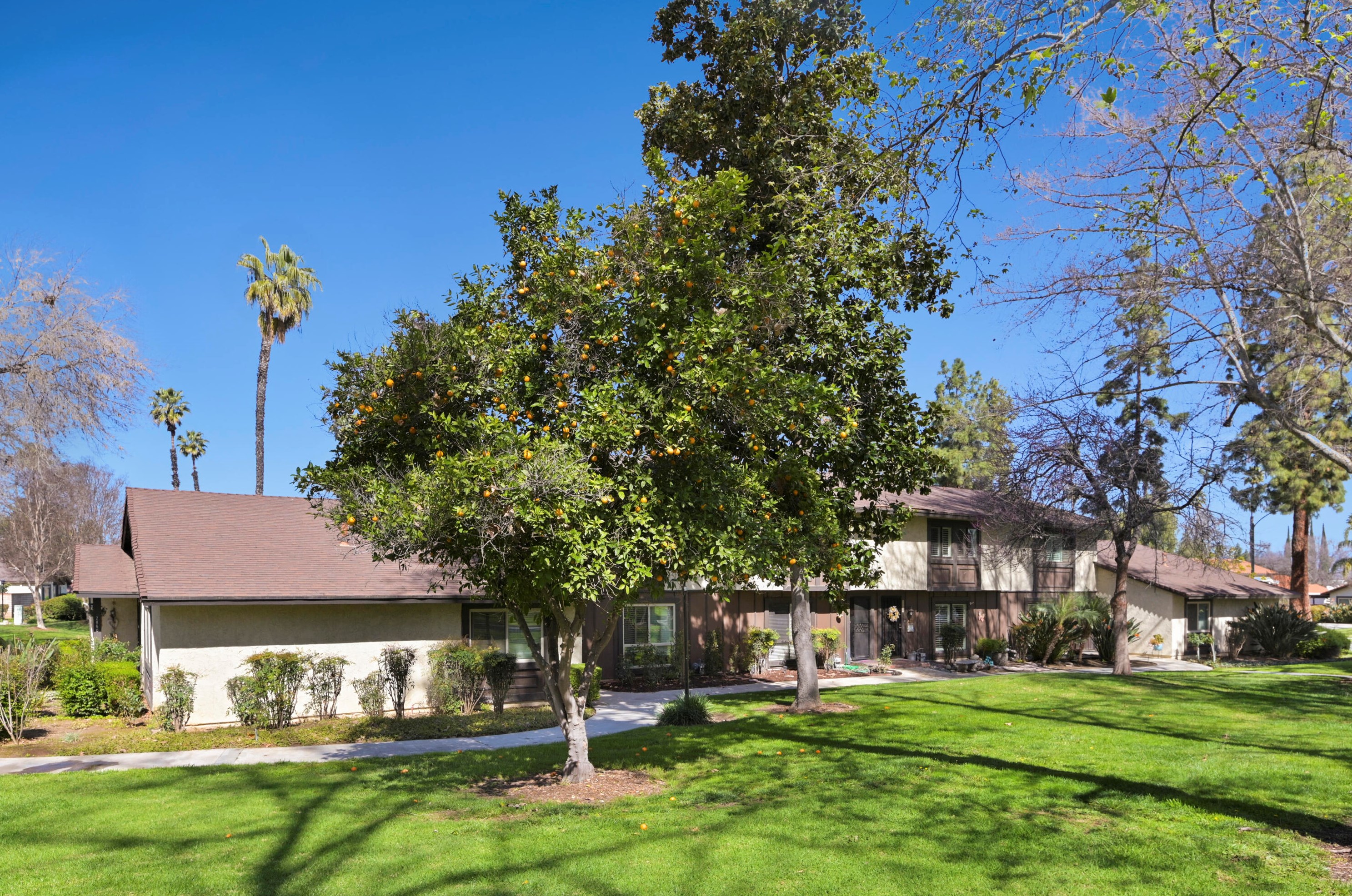 2856 Tropicana Dr, Riverside, CA 92504-4206