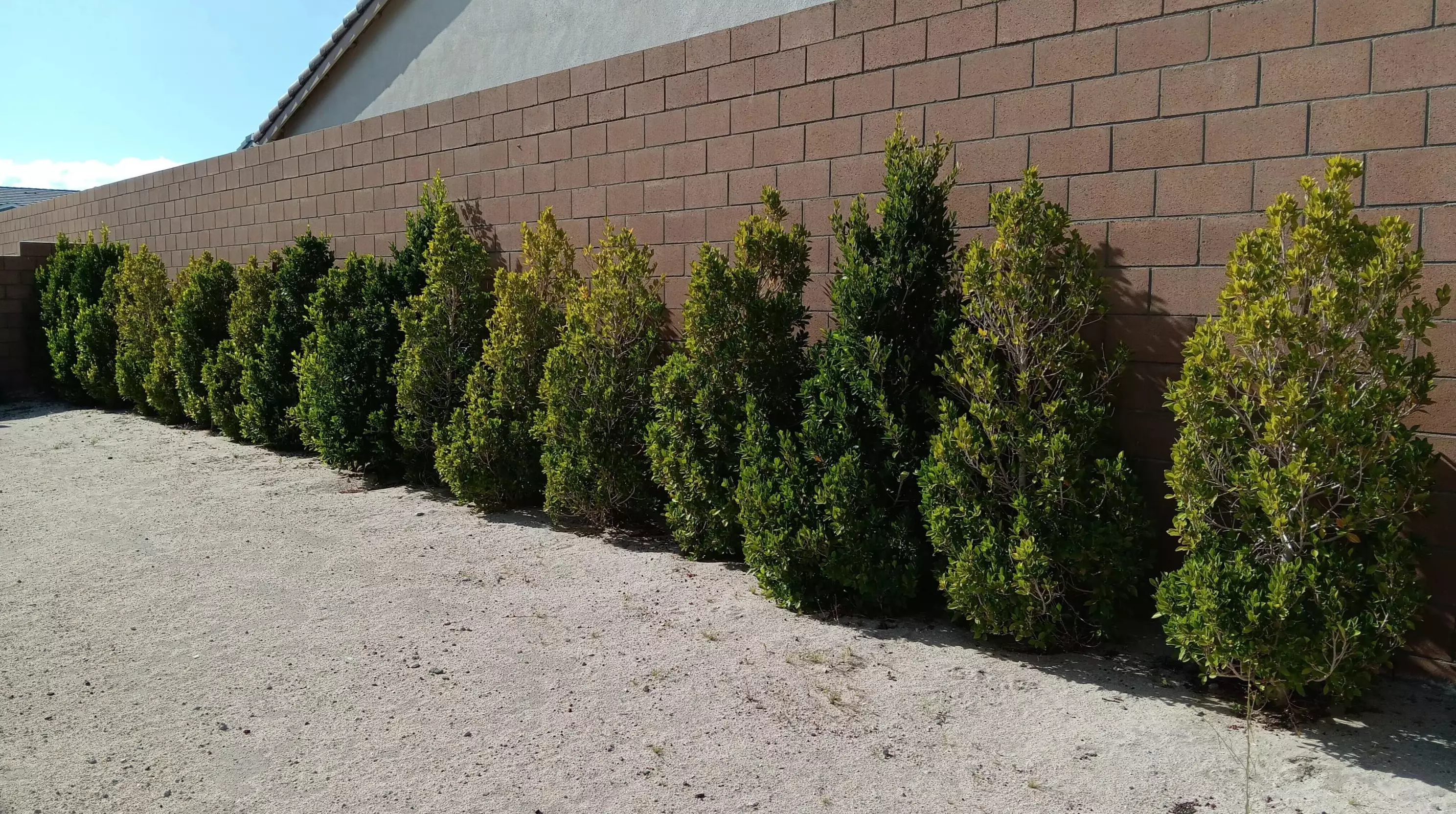 66384 Lantana Ln, Desert Hot Springs CA  92240-8106 exterior