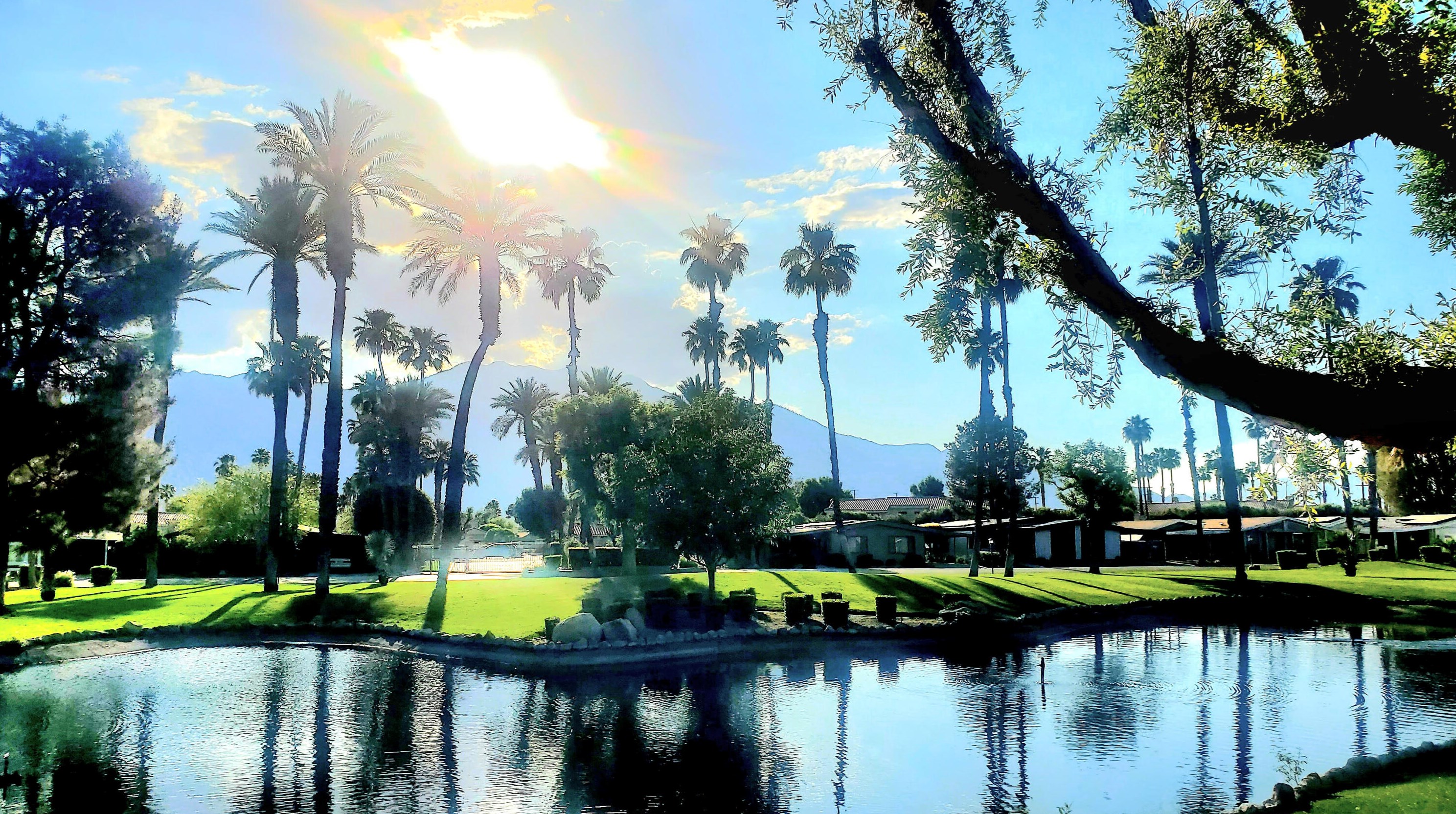 82 Zacharia Dr, Cathedral City CA  92234-6648 exterior