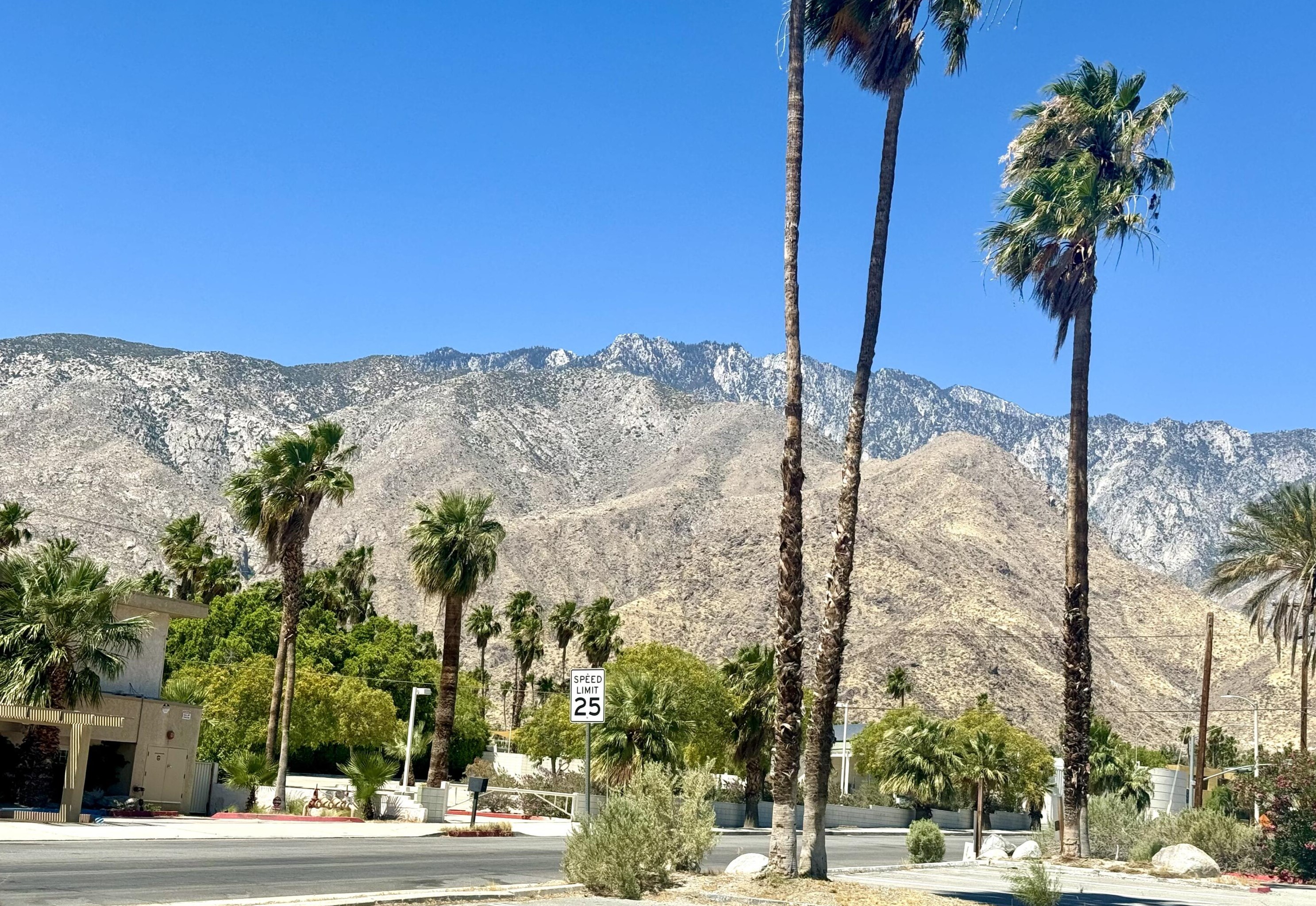 2120 Indian Canyon Dr, Palm Springs CA  92262-3053 exterior