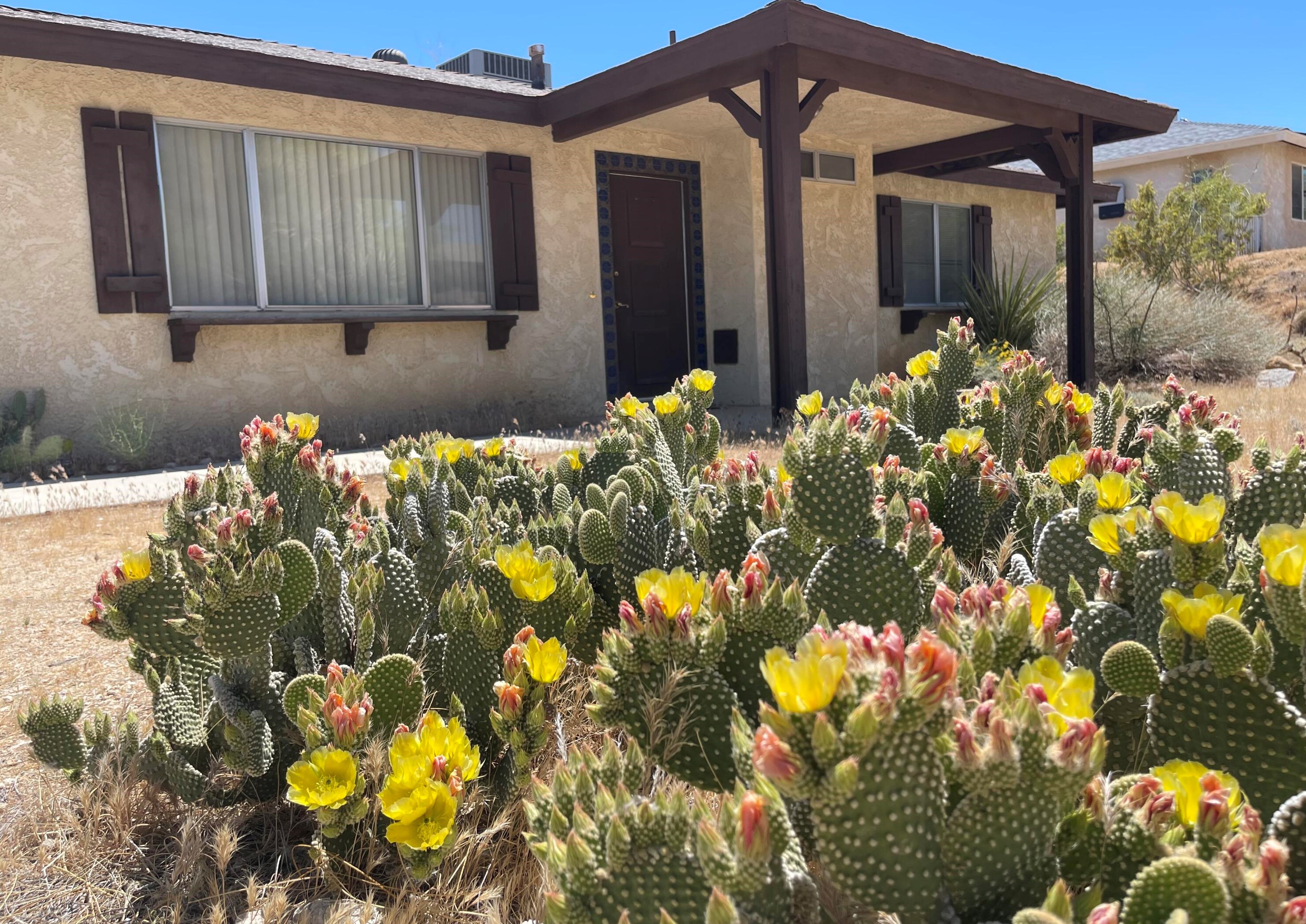 6715 San Angelo Ave, Joshua Tree, CA 92252-2201