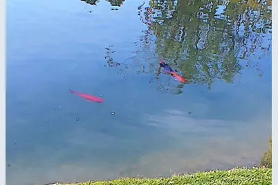 84136 Ave 44, #772 #772, Indio, CA 92203 - Photo 14