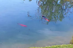 84136 Ave 44, Indio, CA 92203 - Photo 14