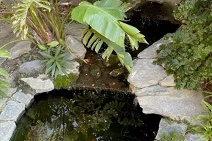 27874 Valencia St, Cathedral City, CA 92234 - Photo 36