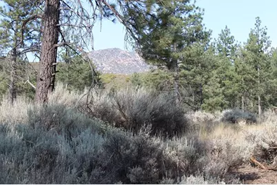 030 Butterfly Peak Road, Mountain Center, CA 92561 - Photo 8