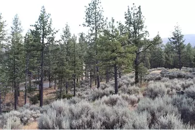 030 Butterfly Peak Road, Mountain Center, CA 92561 - Photo 12