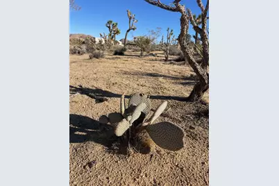 0 Saddleback Road, Joshua Tree, CA 92252 - Photo 6