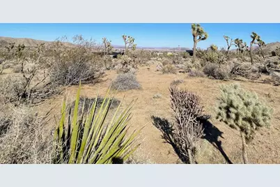 0 Saddleback Road, Joshua Tree, CA 92252 - Photo 10