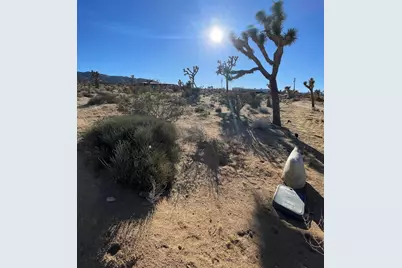 0 Saddleback Road, Joshua Tree, CA 92252 - Photo 12