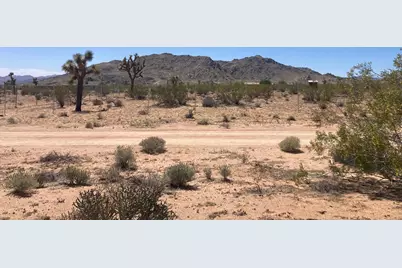 60726 Trentwood Drive, Joshua Tree, CA 92252 - Photo 6